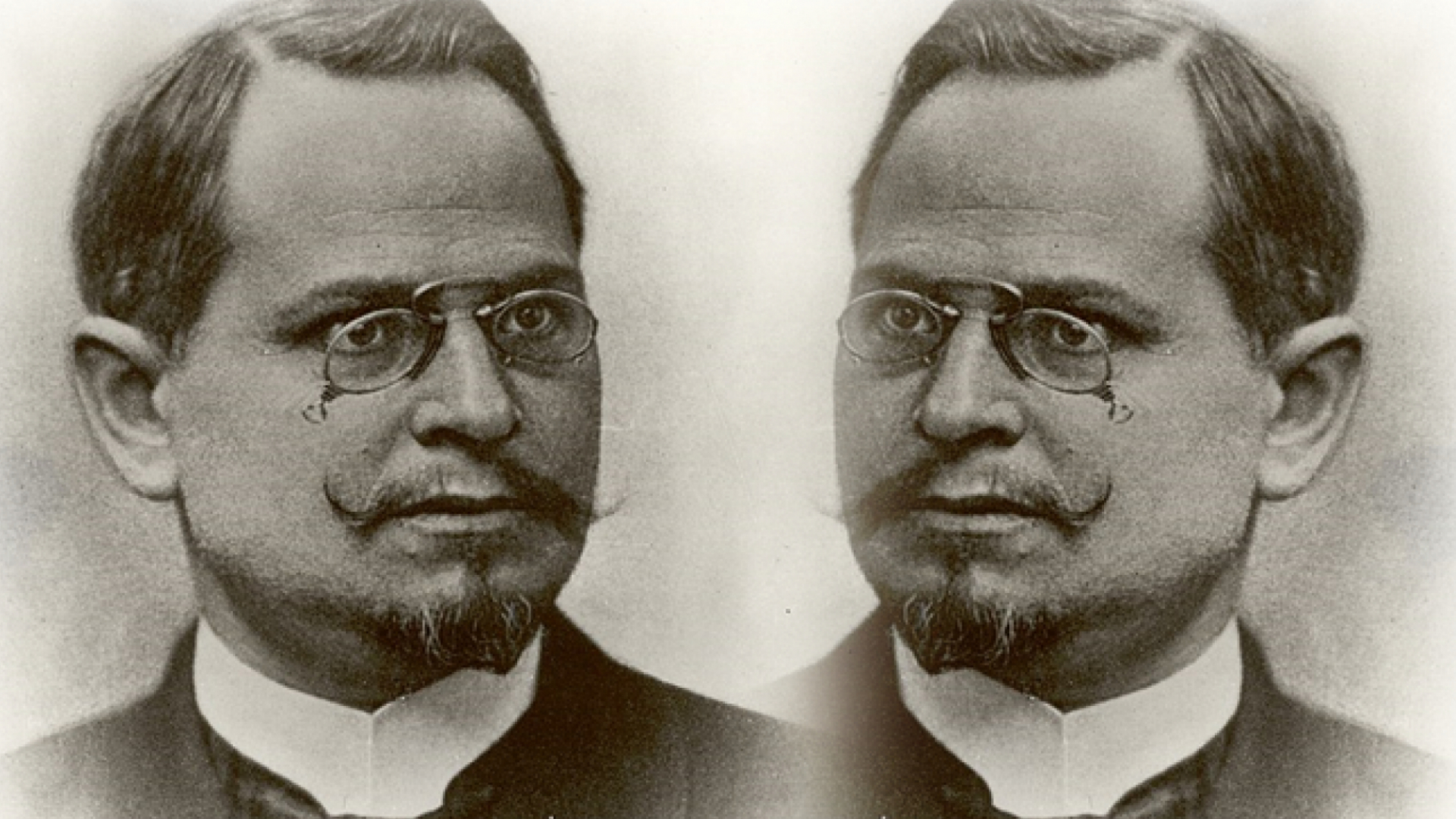 The Vienna School of Art History V: Concealed Influences